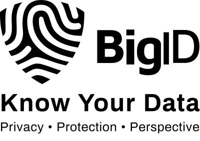 BigID logo