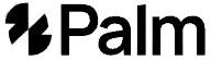 Palm logo