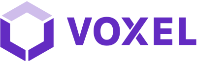 Voxel logo