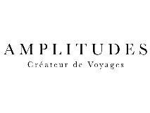 AMPLITUDES logo