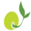 JoyKids International Preschool logo