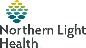 Northern Light Health logo