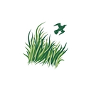 Sawgrass Country Club logo