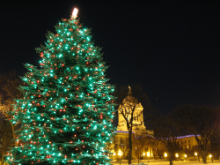 The Christmas Light Guys logo