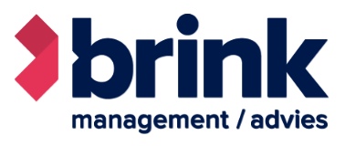 Brink Management / Advies logo