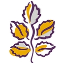 Telecare Corporation logo