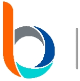 2BSystem logo