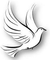 Peace of Mind Home Support Ltd logo