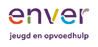 Enver logo