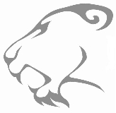 Manguard Plus Ltd logo