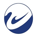 Swan Solutions & Services Pvt. Ltd logo