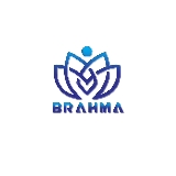 Brahma Consulting Group logo