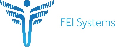 FEI Systems logo