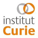 Institut Curie logo