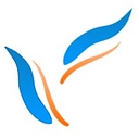 Bluekode solutions logo