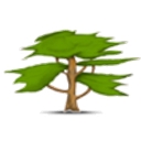 Allied Consultants logo