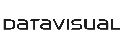 DataVisual logo