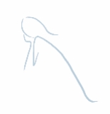 Our Second Nature Pte Ltd logo