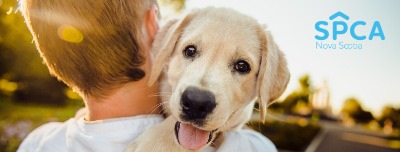 Nova Scotia SPCA logo