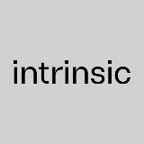Intrinsic logo