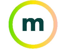 metafinanz Informationssysteme GmbH logo