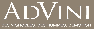 Advini logo