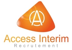 ACCESS INTERIM logo