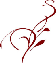 Acquisition Professionals LLC logo