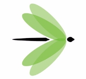 Agile logo