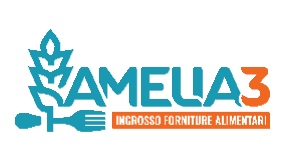 Amelia 3 S.r.l. logo