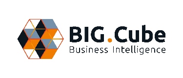 BIG.Cube GmbH logo