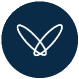 BIOMEDAL logo
