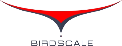 BIRDSCALE TECHNOLOGY AND SERVICES PRIVATE LIMITED logo