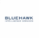 BLUEHAWK, LLC logo