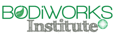 BODiWORKS Institute logo
