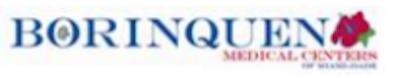 BORINQUEN HEALTH CARE CENTER, INC logo