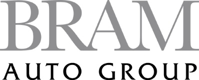 BRAM AUTO GROUP logo