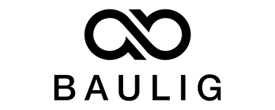 Baulig Consulting GmbH logo