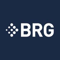 Berkeley Research Group, LLC logo