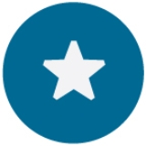 Blue Star Donuts logo