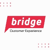 Bridge Solutions Group logo