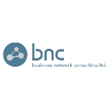 Business Network Consulting logo