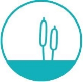 ClearView Healthcare Management logo