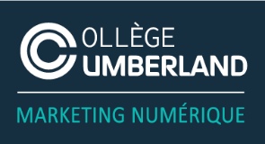 Collège Cumberland logo