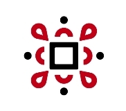 Command Holdings logo
