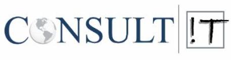 Consult IT logo