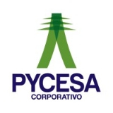 Corporativo PYCESA logo
