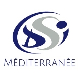 DSI MEDITERRANEE logo