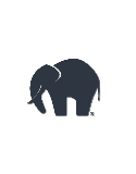 Elephant in the Room logo