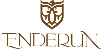 Enderun Colleges logo